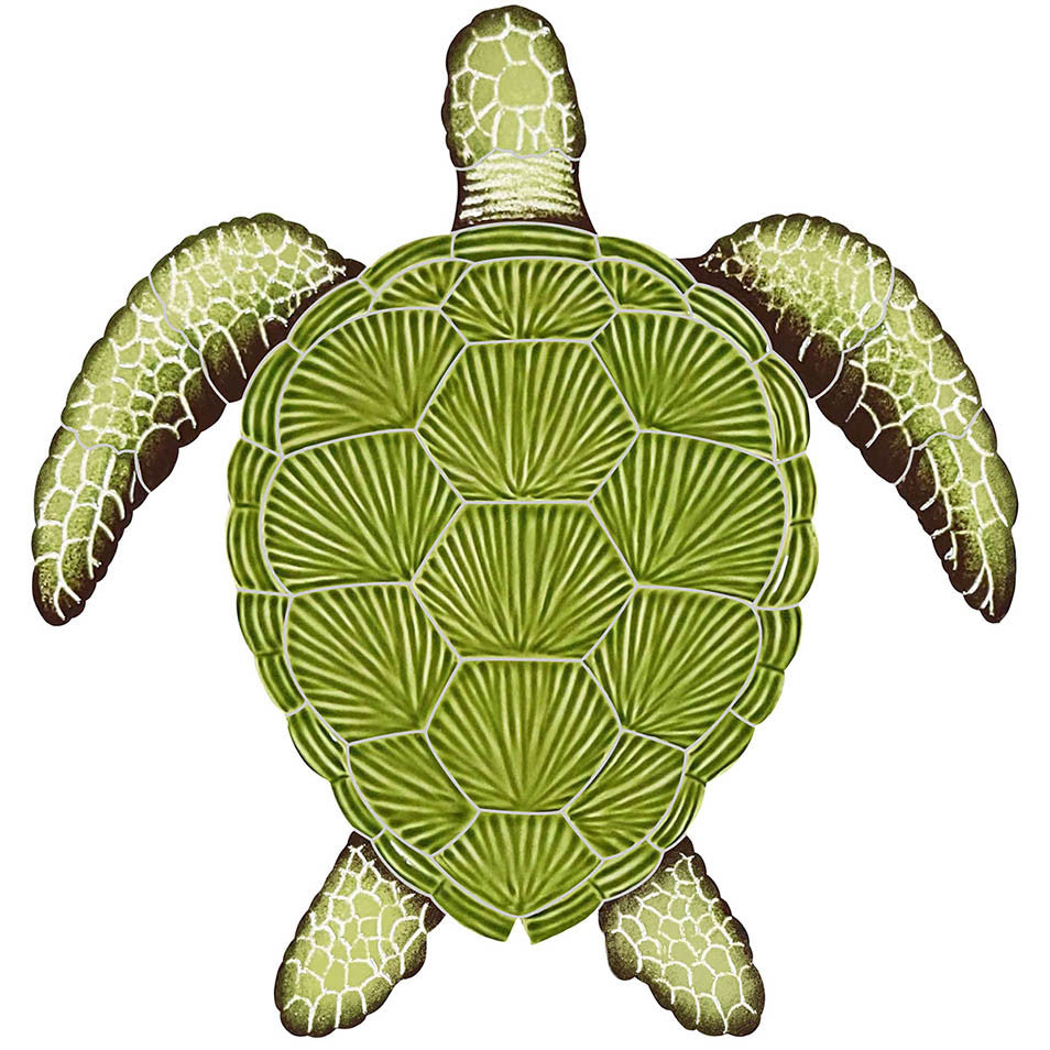 Loggerhead Turtle 15 x 14 green TLOGREM