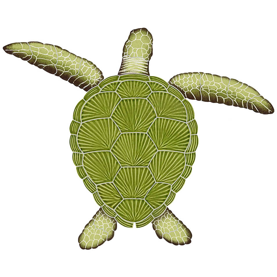 Loggerhead Turtle 20 x 24 green TLOGREL