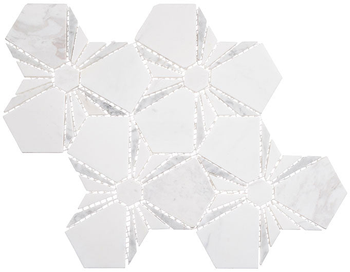 Nectura Collection Waterjet Marble Mosaic tile NEC6291 Tunia