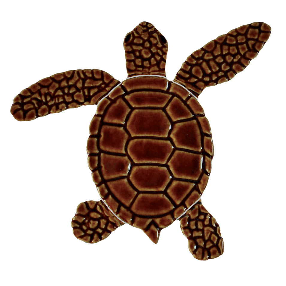 Loggerhead Turtle Pool Mosaic