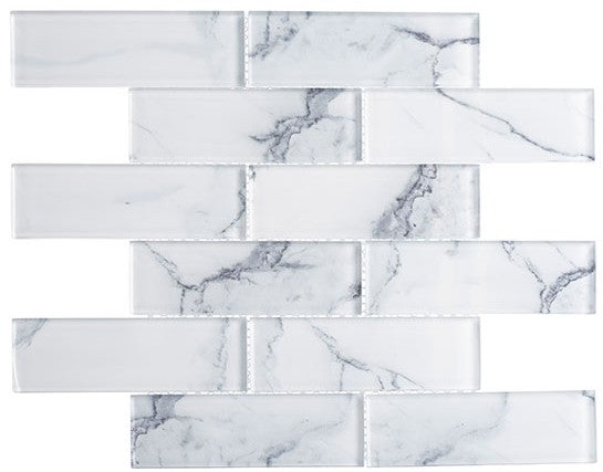 Michelangelo Florence Cathedral 2 x 6 Glass Subway Tile MCL-2161