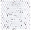 Carolina Dots Penny Round Recycled Glass Mosaic Tile CAR-2012 Fashion Spec